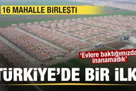 17411578741182762553