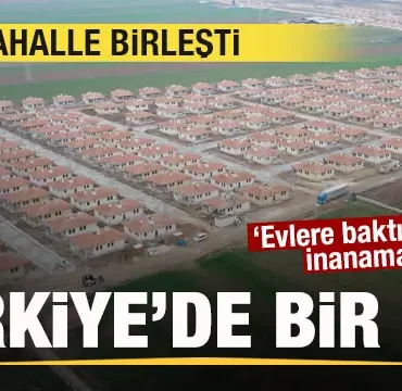 17411578741182762553