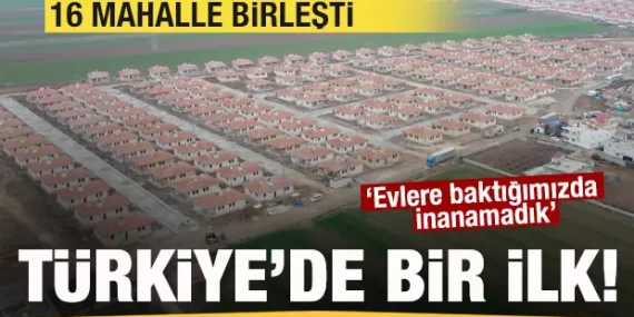 17411578741182762553