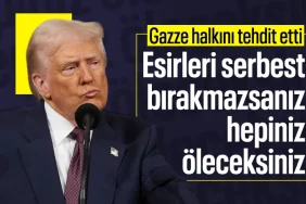 17412575461165825392