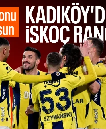 17412576451847954496