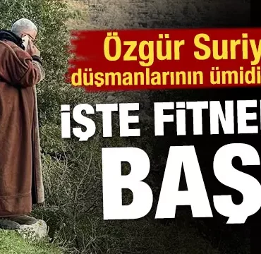 17414353651386715686