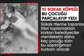 17414381401441321697