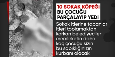 17414381401441321697