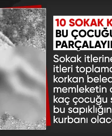 17414381401441321697