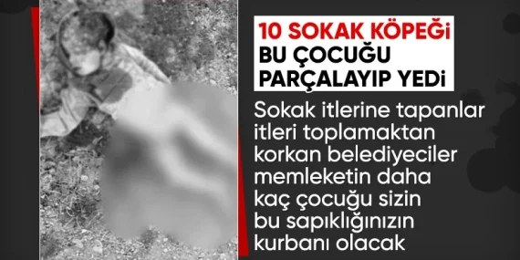 17414381401441321697