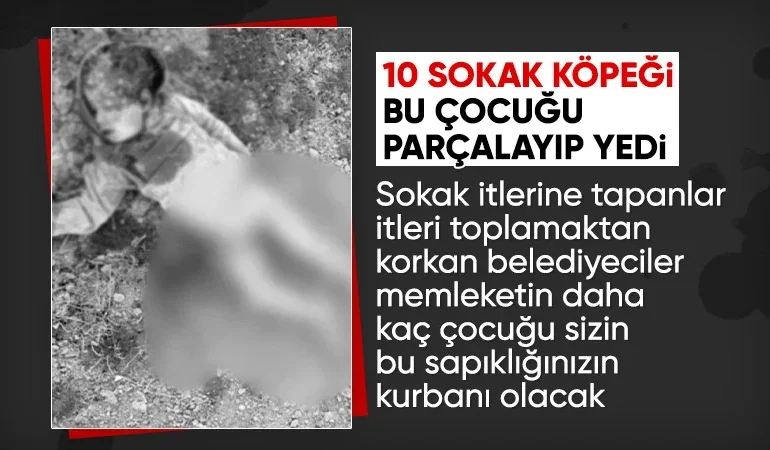 17414381401441321697