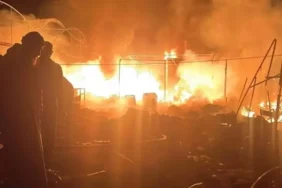 17422798741186697087