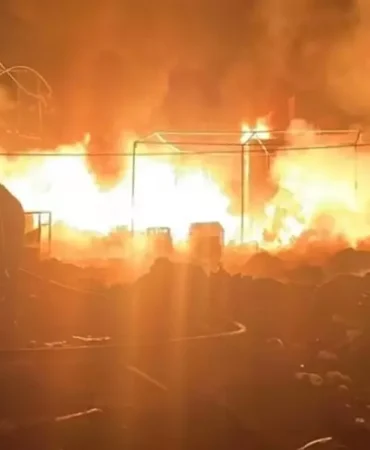 17422798741186697087