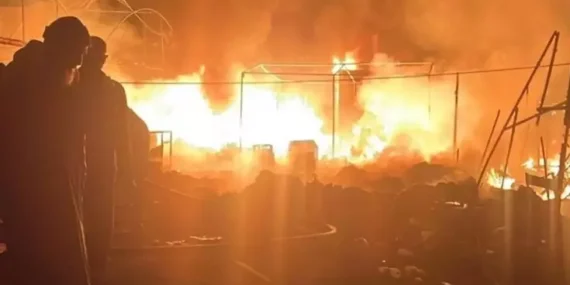 17422798741186697087