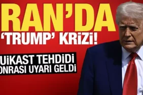 17440097051053938589