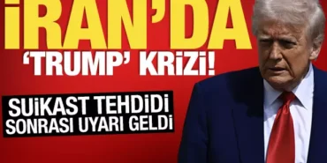 17440097051053938589