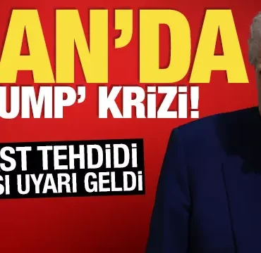 17440097051053938589