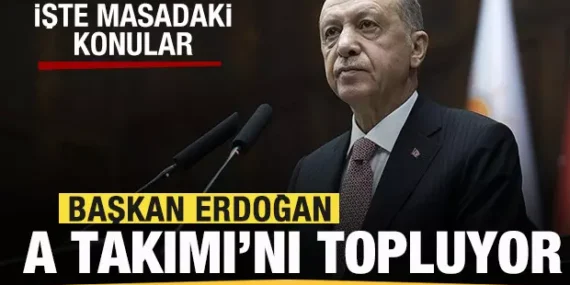 17440097591365639678