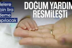 17442672601214118028