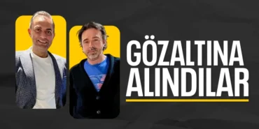 17442674021533542336