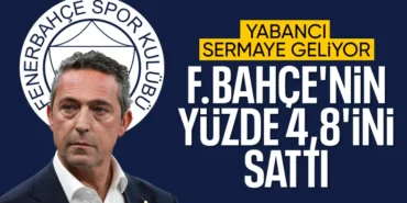 17443884521175711346