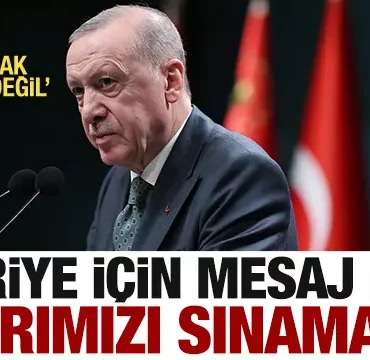 17447870231708028202