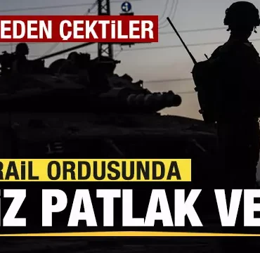 17447875861789070137