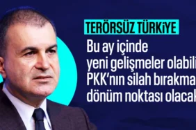 17453110171252988302