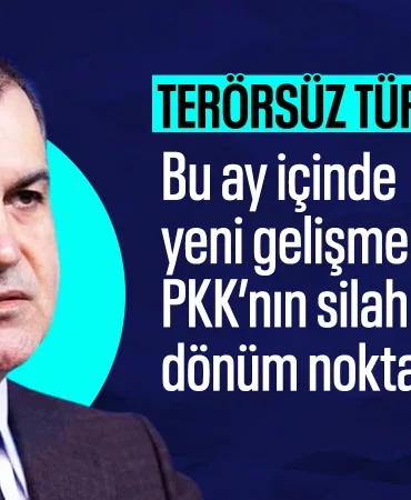 17453110171252988302