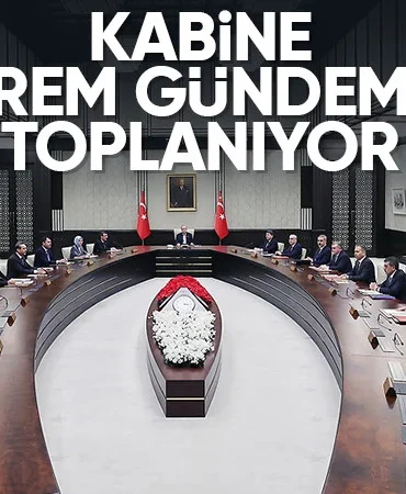 17458298661599325010