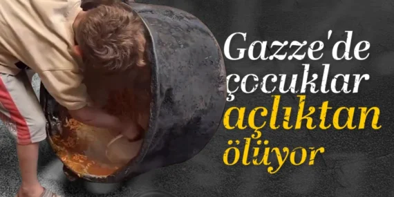 17458301412134627909