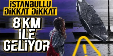 17458309871567330273