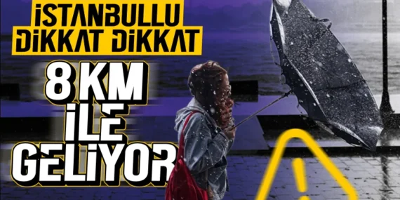 17458309871567330273