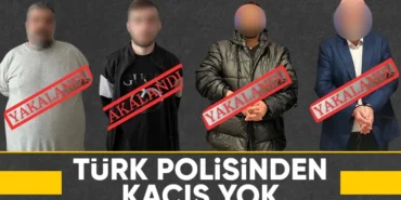 17462674051277583488