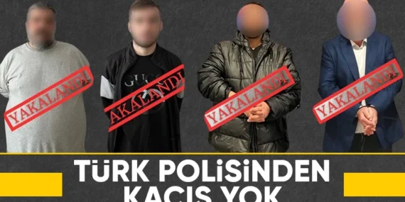 17462674051277583488