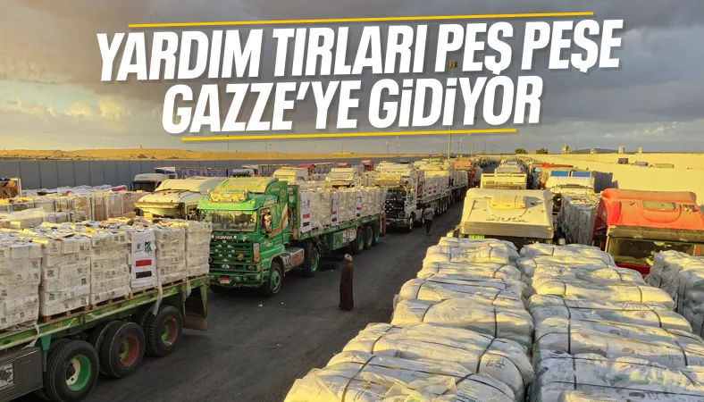 17603389841554586755