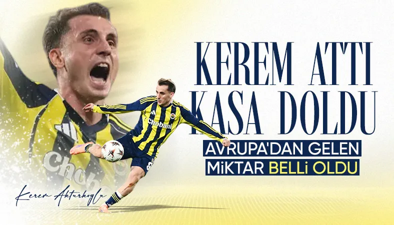 17613385481662533789