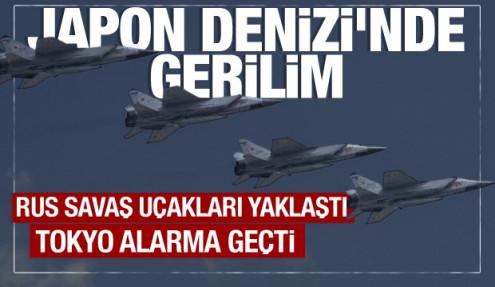 17613782681020032903