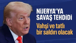 17621518311794913116